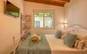 Vitis Vinifera Tranditional Studio Apartment